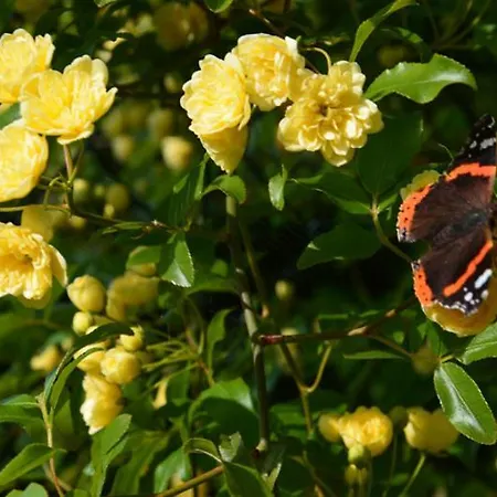 Anima Gea Experience Nyaraló Múggia