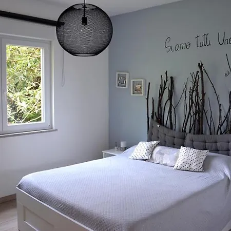 Anima Gea Experience *