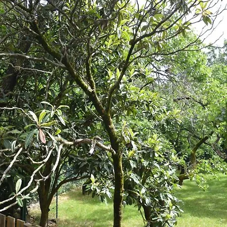 Anima Gea Experience * Múggia