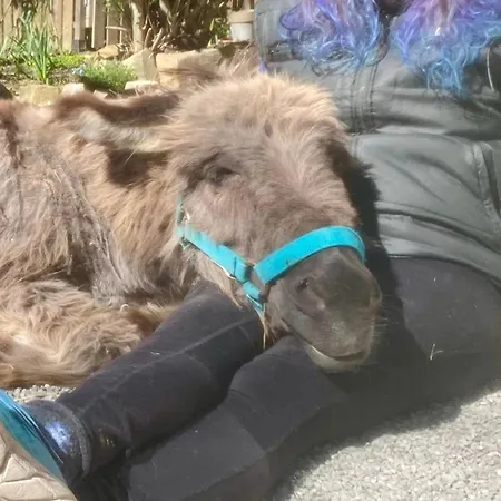 Anima Gea Experience Nyaraló Múggia