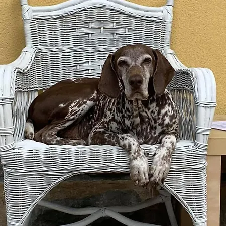 Anima Gea Experience Nyaraló Múggia