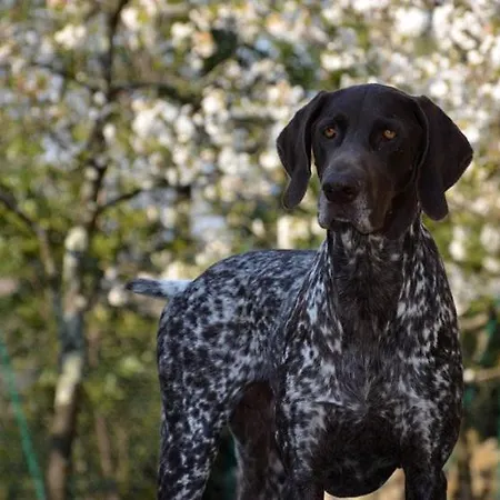 Anima Gea Experience Nyaraló