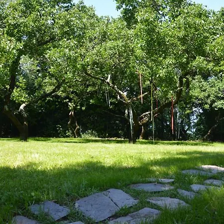 Сasa de vacaciones Anima Gea Experience