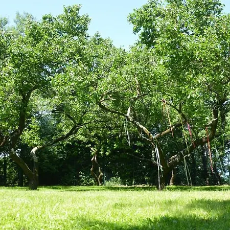 Anima Gea Experience Сasa de vacaciones *