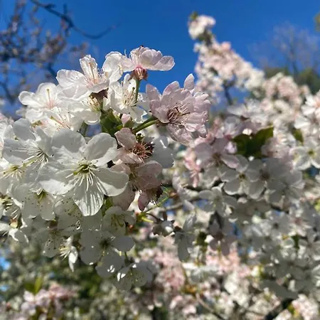 Сasa de vacaciones Anima Gea Experience