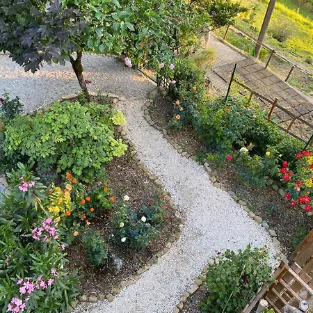 Anima Gea Experience