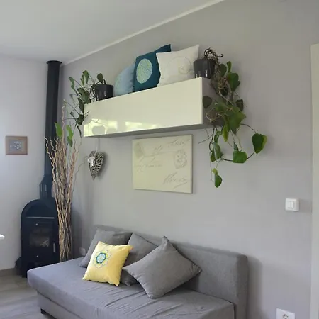 Anima Gea Experience