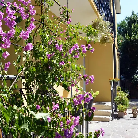 Anima Gea Experience *