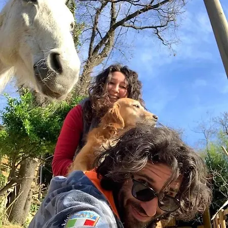 Сasa de vacaciones Anima Gea Experience *