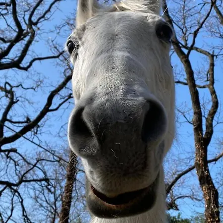 Anima Gea Experience Prázdninový dům Múggia